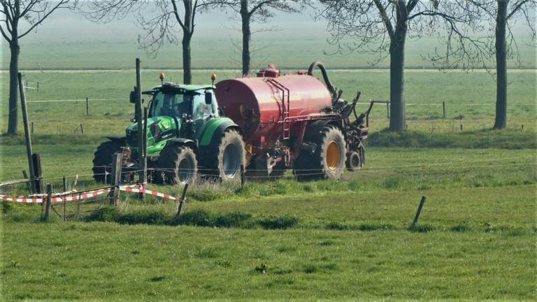 Enorme mestfraude: boeren krijgen taakstraffen en boetes 