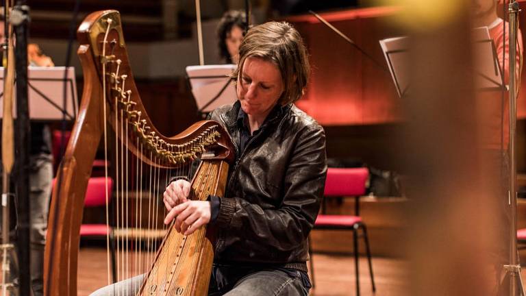 Tineke Steenbrink en haar harp (foto: Wouter Jansen).