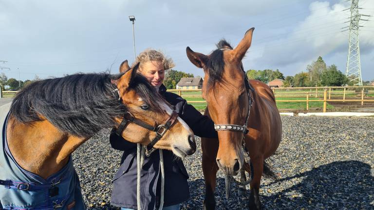 Na vreselijk drama heeft Sanne weer twee nieuwe pony's 