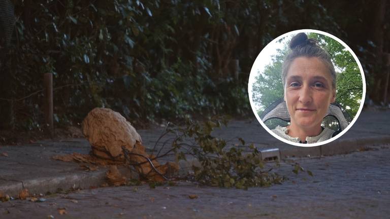 Imker Elphaidis schoot te hulp bij het Aziatische hoornaar nest dat dinsdagavond uit een boom viel (foto: Persbureau Heitink en Elphaidis L'or).