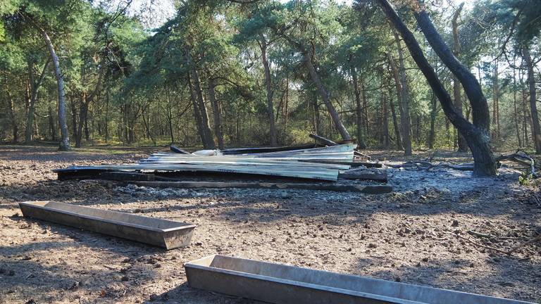 De brand in safaripark Beekse Bergen (foto: Toby de Kort/SQ Vision).