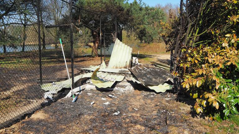 Bij de brand in de Beekse Bergen kwamen tien dieren om het leven (foto: Toby de Kort/SQ Vision)