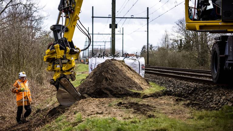 Onder het spoor bij Esch zaten begin maart dassen onder het spoor (foto: ANP).