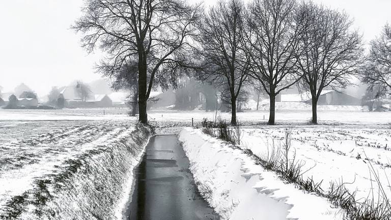 Het slootje is bevroren in Hilvarenbeek (foto: Marielle Aerts)