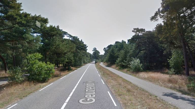 De man werd in het bosgebied bij de Geuzendijk aangehouden (foto: Google Maps).