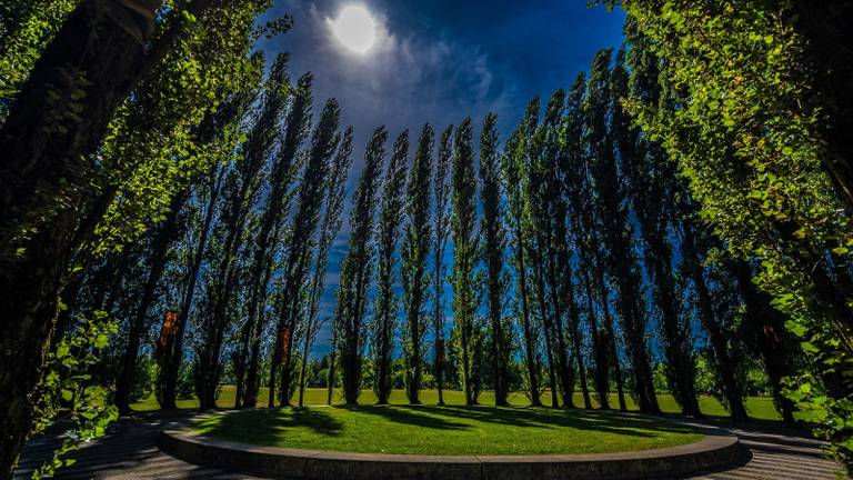 Nieuw festivalhart voor theaterfestival Boulevard in Zuiderpark Den Bosch (foto: Boulevard)