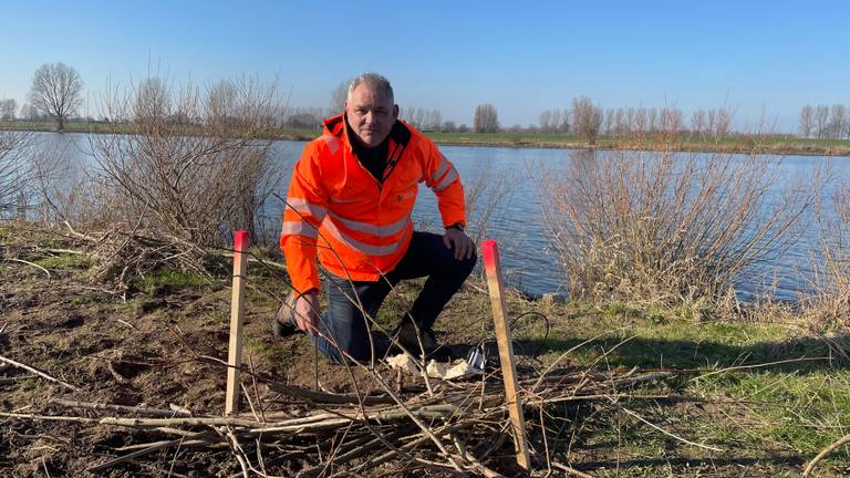 Gerard de Boer bij een nieuw ontdekt bevergat (foto: omroep Brabant).