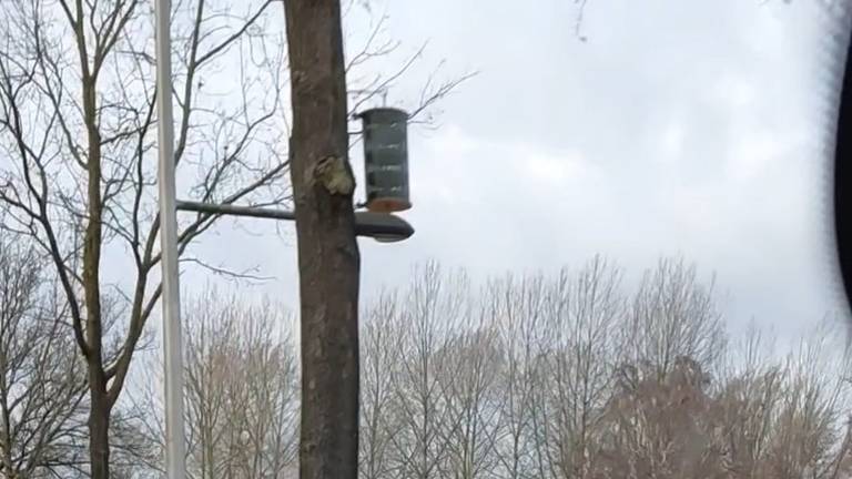 Cabinets to combat oak processionary caterpillars along the Eindhoven canal (photo: Anke van der Meulen).
