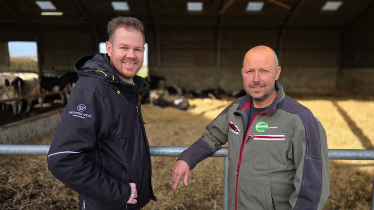 Bommen in weiland dwarsbomen duurzame plannen