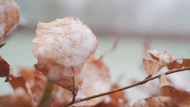 We duiken weer naar winterse temperaturen.