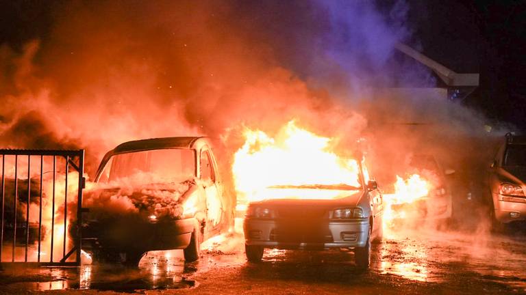 Vuurzee verwoest zes auto's en bestelbus bij garagebedrijf
