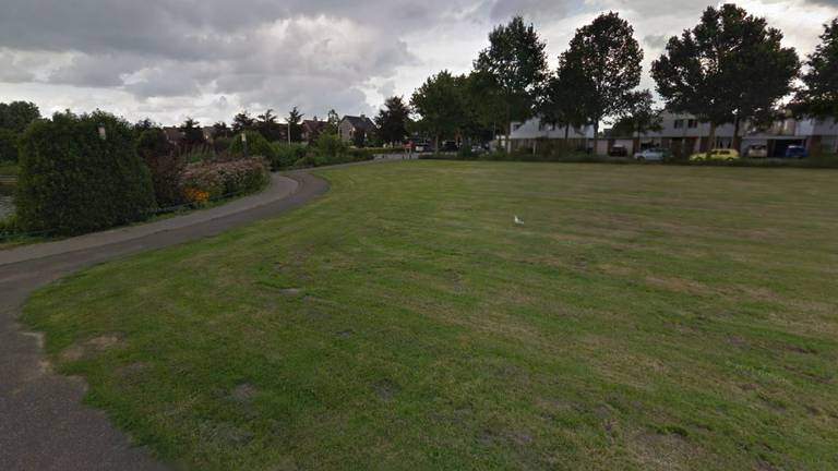 In het park in Oss zouden meerdere honden ziek zijn geworden (afbeelding: Google Streetview).