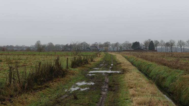 Honderden Brabantse boeren zitten buiten hun eigen schuld in onzekerheid.