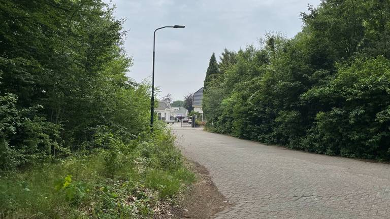 Het afgelegen kampje in Geldrop-Mierlo (Foto: Wim Heesterbeek)