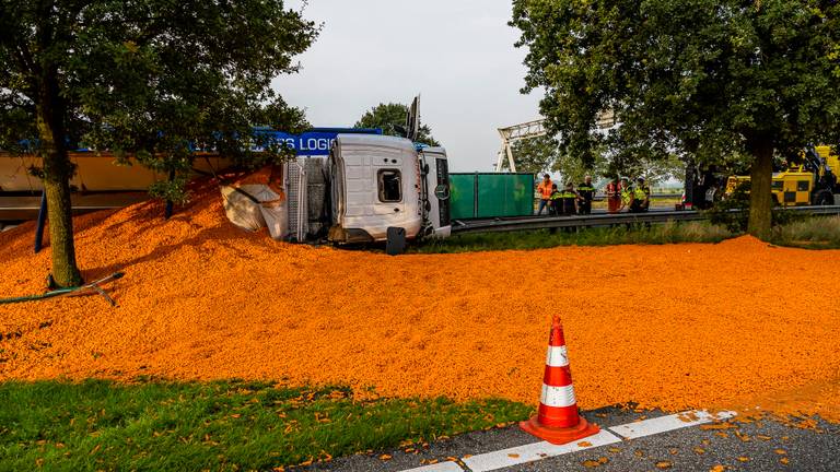 Omroep Brabant