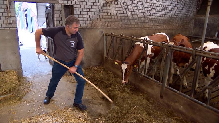 Leo van Velthoven in zijn verouderde koeienstal