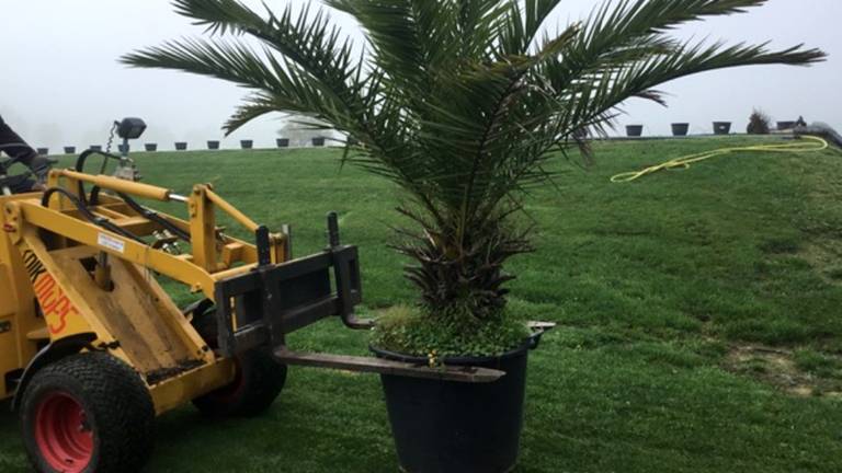 Jac's plantenhotel gaat toch wéér open: 'Het is hier een vijfsterrenhotel'