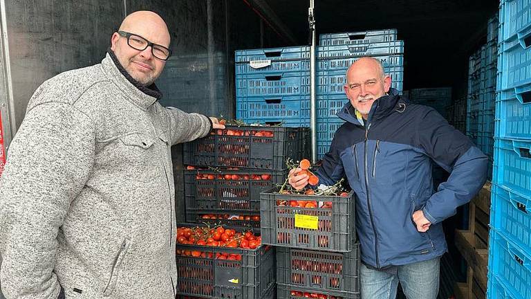 Jacky Masseurs en George Stander willen de tomaten redden van de kliko.