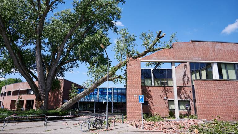 Enorm deel van boom valt op zwembad in Breda, muur stort deels in