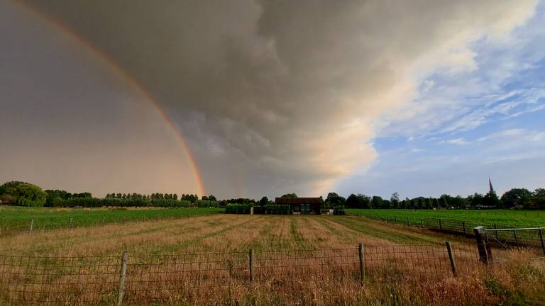 Foto: Levi van den Bogaard