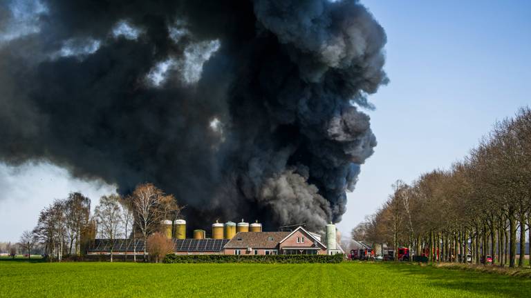 Bij een stalbrand in Sint Oedenrode kwamen in april negenduizend biggen om (foto: SQ Vision).