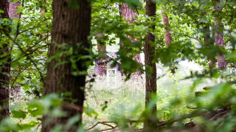 Het huis van de man ligt verscholen in de bossen (foto: Dave Hendriks/SQ Vision Mediaprodukties).