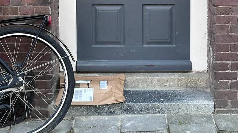 Een pakketje van DHL dat in Den Bosch voor de deur is afgeleverd (foto: Ton Punt). 