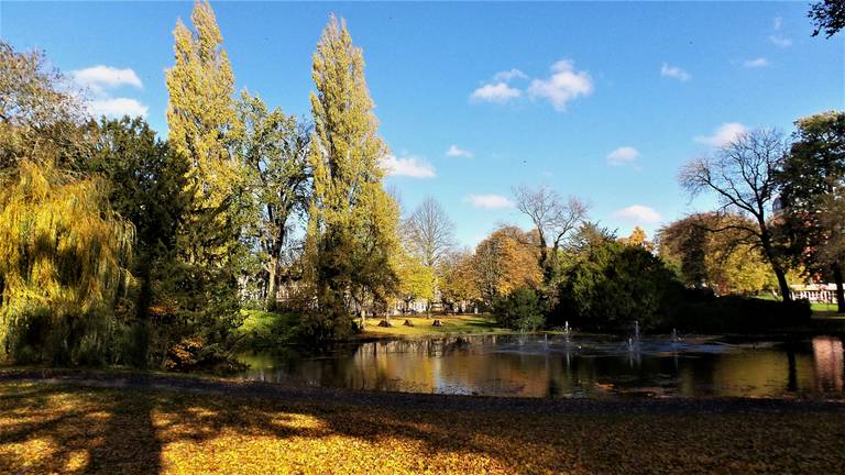 Breda wil meer groen zien, zoals in Park Valkenberg in Breda. (Archieffoto: Henk Voermans)