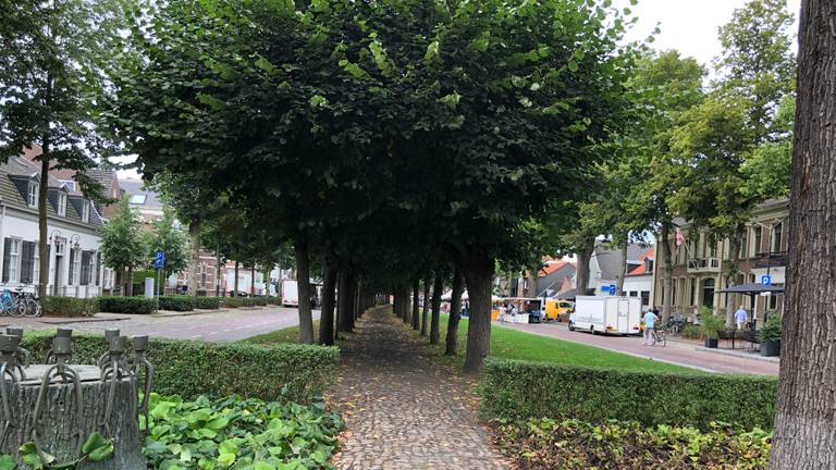 Het Oisterwijkse trouwlaantje wordt vaak genoemd als uniek voor Oisterwijk (Foto:Agnes van der Straaten)