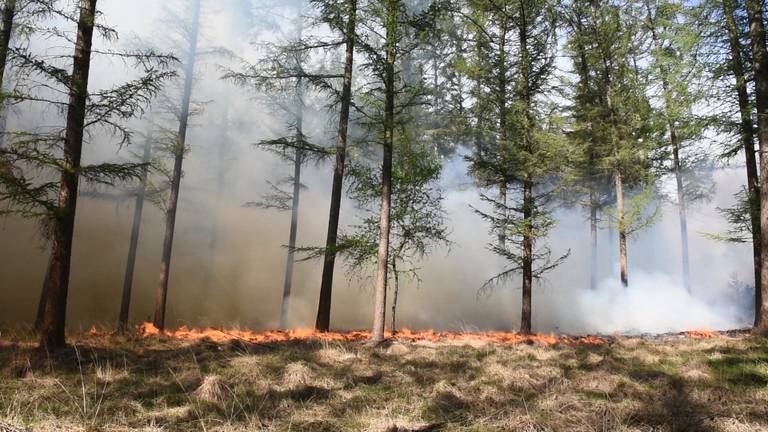 De kans op natuurbranden neemt weer toe (foto: SQ Vision).