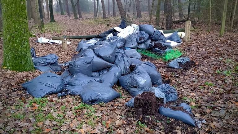 Foto: Staatsbosbeheer.