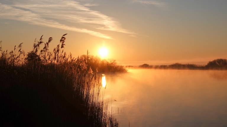 Omroep Brabant