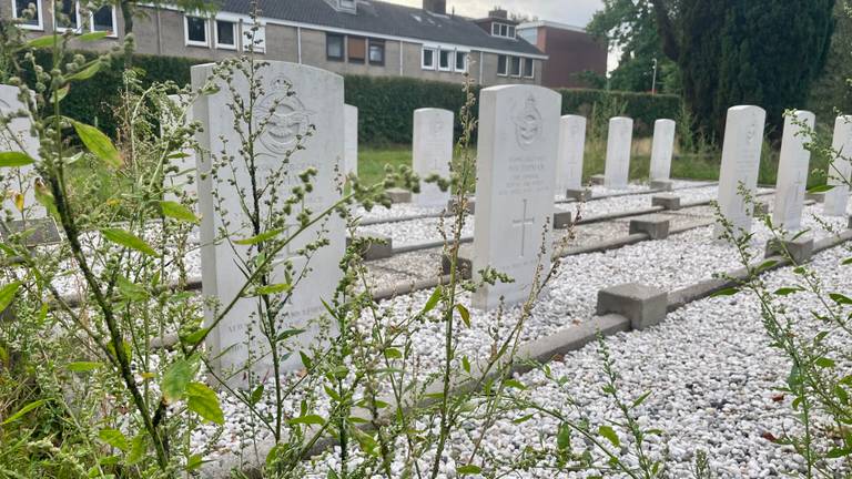 Dit onkruid bij de graven is inmiddels verwijderd (Foto: Erik Peeters).