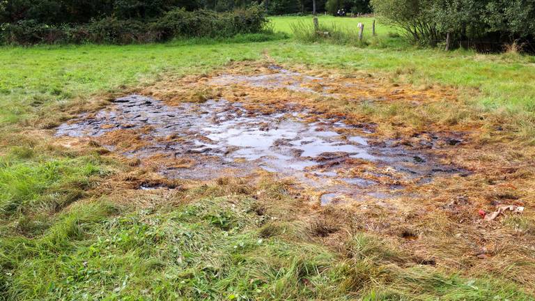 Drugsafval geloosd in natuurgebied Oostelbeers, tienduizenden euro’s schade