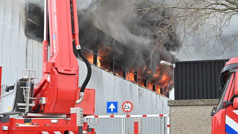 De vlammen slaan uit het bedrijfsgebouw in Etten-Leur (foto: Perry Roovers/SQ Vision).