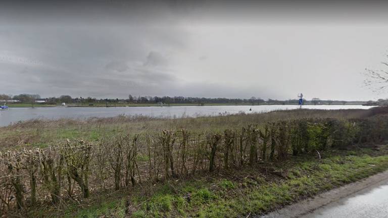 In een zijtak van de Maas werd het dode dier gevonden (foto: Google Maps)