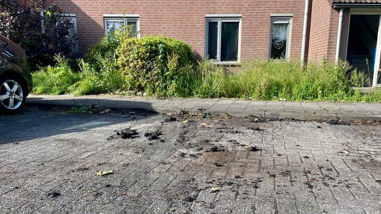 Liesbeth zag hoe er brand gesticht werd in haar straat: 'Een grote vuurzee'