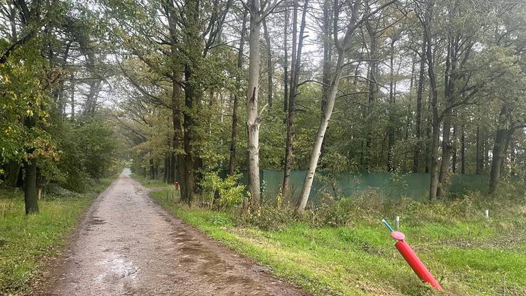 Het perceel aan de Pater Taksweg in Rijsbergen (foto: Erik Peeters).