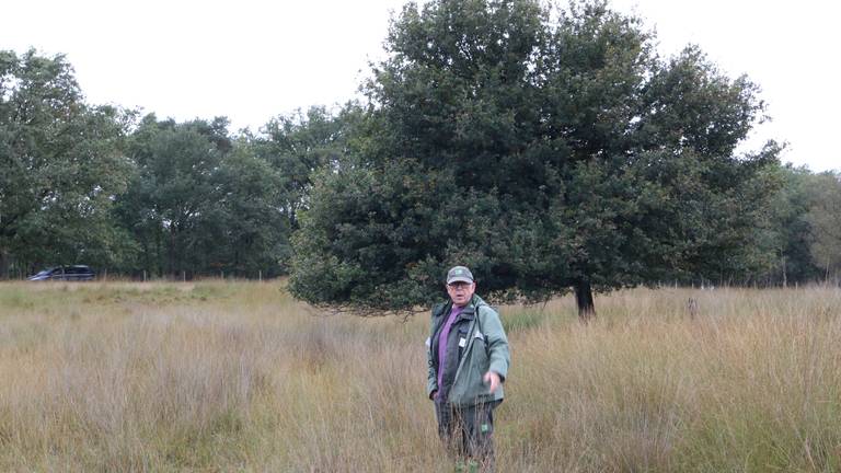 Jap Smits op de Strabrechtse Heide; hij is er al tientallen jaren boswachter. 
