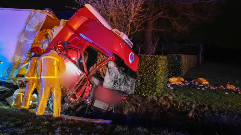 Lading kip belandt in weiland nadat vrachtwagen van de weg raakt