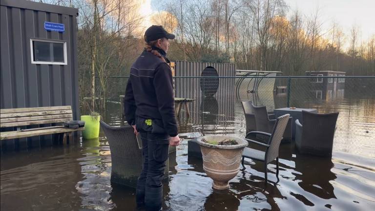 Hondenpension staat onder water: 'We hebben geen stroom meer en geen wc's' 