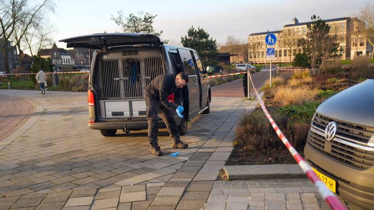 In het park werd het hele weekend uitgebreid onderzoek gedaan (Foto: Harrie Grijseels/SQ Vision).