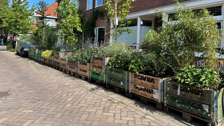 Omroep Brabant