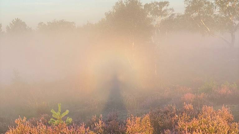 Frans Kapteijns werd gevangen in een regenboog-halo (privéfoto)