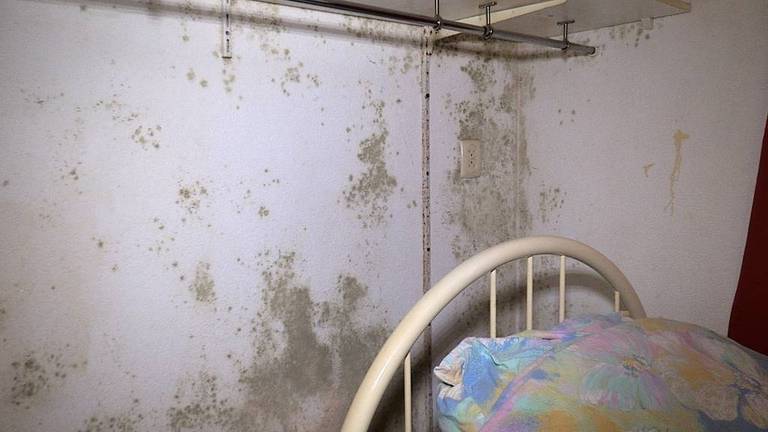 De schimmel zit bij deze melder zelfs in de slaapkamer (foto: Omroep Brabant).