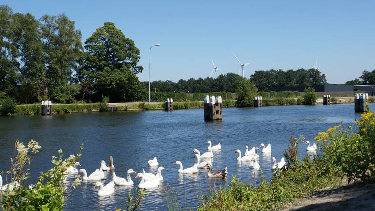 Het Wilhelminakanaal in de zomer (foto: Toon Boons).