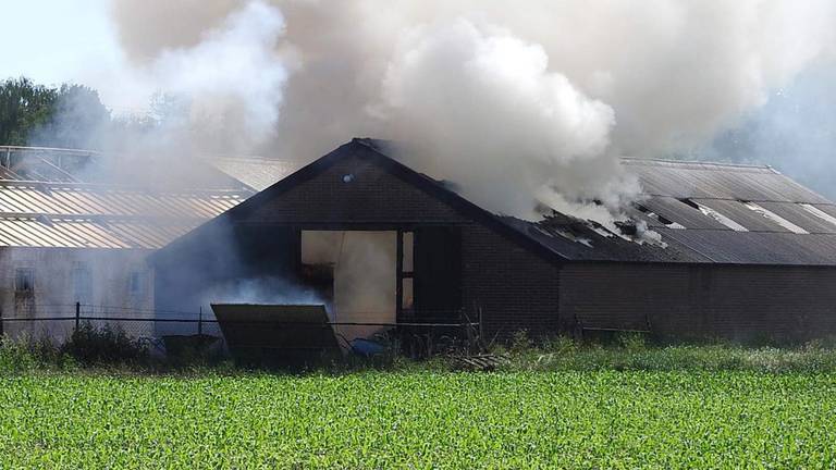 Veel rook bij een stalbrand in Uden, de koeien die hier stonden werden gered (archieffoto: SQ Vision).