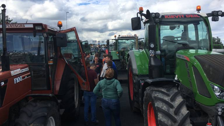 Boeren brachten het verkeer tot stilstand op de A2 (foto: Omroep Gelderland).