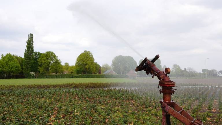 Beregenen wordt nog steeds aan banden gelegd (foto: Ben Saanen).