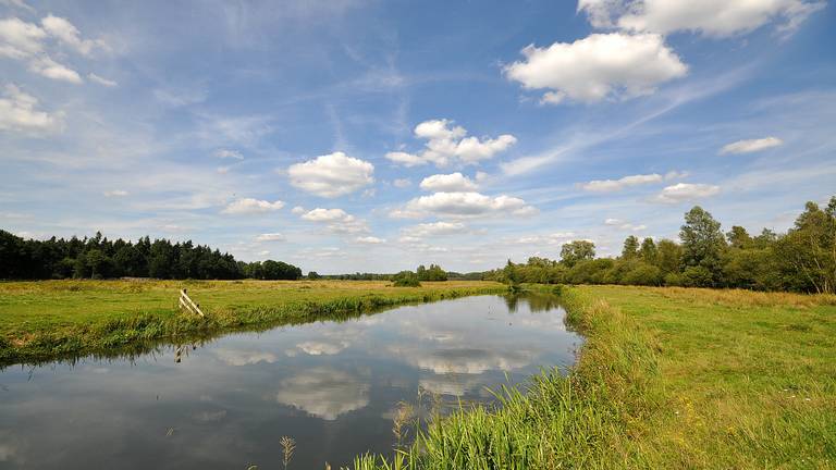 Zomer in Brabant (Foto: Ben Saanen)